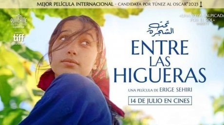 ينطلق عرضه بسينماتاك طنجة بالمغرب : فيلم أريج السخيري "تحت الشجرة" يحاكي عالم المراهقين في كسرى