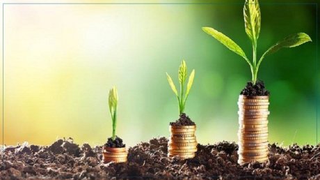 المصادقة على عمليات استثمارات فلاحية خاصة بقيمة 11 مليون دينار