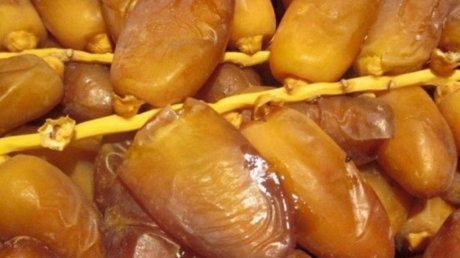 قبلي: افتتاح موسم جني التمور و تقديرات بإنتاج 285 ألف طن