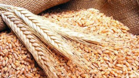 في مشروع قانون المالية 2: تراجع دعم المواد الاساسية وتطور دعم المحروقات وهذه إجراءات التحكم في النفقات