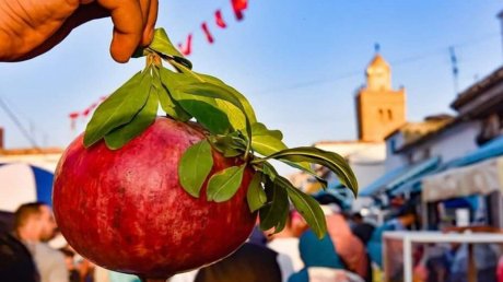 باجة: توقعات بزيارة أكثر 300 ألف زائر بمناسبة مهرجان الرمان