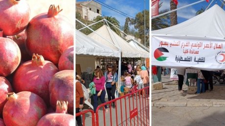 باجة : افتتاح مهرجان الرمان بتستور في دورته السابعة وسط تقديرات بتراجع الصابة