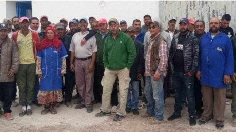 لهذه الأسباب اضطرت شغيلة ديوان الأراضي الدولية للاضراب
