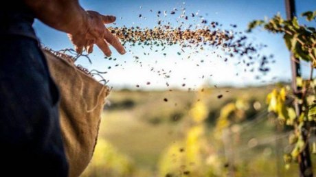 نابل: تأخر عملية البذر للزراعات الكبرى نتيجة لانحباس الأمطار