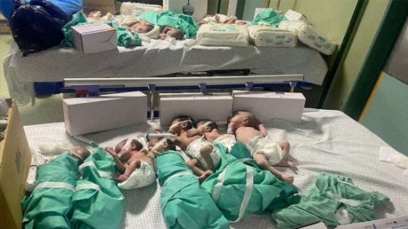 غزة: استشهاد خمسة رضع وسبعة مرضى في العناية المركزة بمجمع الشفاء
