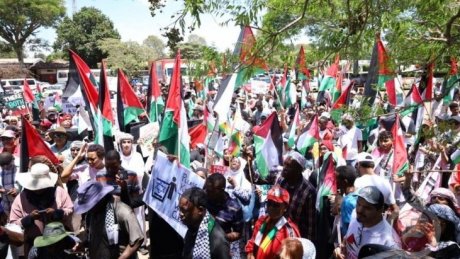زيمبابوي: تظاهرة جماهيرية رفضا لحرب الإبادة الجماعية بغزة