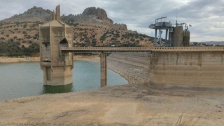 باجة: اتحاد الفلاحين يطالب بإعلان حالة الطوارئ المائية