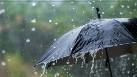 طقس اليوم في غزة و تونس : أجواء غائمة جزئيا في غزة و أمطار رعدية مع تساقط البرد في تونس
