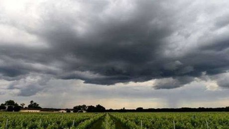 حالة الطقس في تونس و غزة : طقس مغيم جزئيا مع سحب رعدية في تونس و أمطار متفرقة في غزة