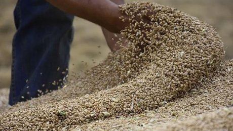 أزمة الحبوب : واردات بقيمة 3.5 مليار دينار وشح في الأسواق