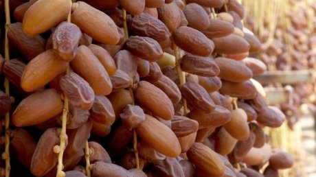 دولة عربية تستأثر بنصيب الأسد من صادرات تونس من التمور