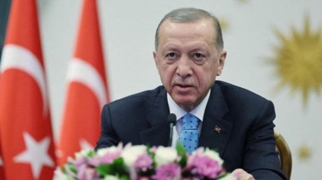 الرئيس التركي أردوغان : قتل الأطفال والنساء جريمة حرب ويجب محاسبة الاحتلال