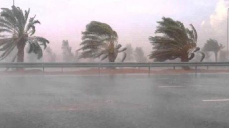 حالة الطقس في تونس وقطاع غزة : رياح قوية وأمطار متفرقة كامل اليوم