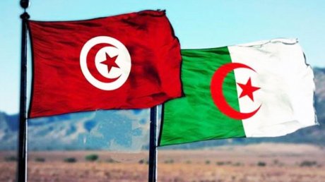 إمضاء اتفاقية تفاهم بين وكالة الدواء ووكالة المواد الصيدلانيّة الجزائرية