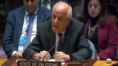 "مندوب فلسطين بالأمم المتحدة: حرب غزة محاولة لـ"إنهاء شعبنا