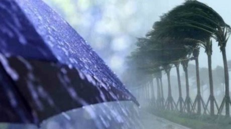 خبير في الطقس: منخفض جوي جديد يُرافقه الهواء البارد والأمطار