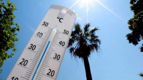 حالة الطقس في تونس و قطاع غزة : مغيم جزئيا مع إرتفاع طفيف في درجات الحرارة في تونس و أمطار مصحوبة بعواصف رعدية في غزة