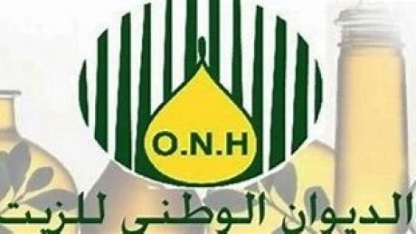 فيما ارتفعت اسعار الزيتون ب 48 %: نحو انتاج 210 الف طن من الزيت من 930 معصرة
