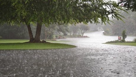 حالة الطقس في قطاع غزة و تونس : غائم جزئي إلى صاف في غزة و أمطار غزيرة مؤقتا رعدية بتونس