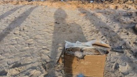 العثور على 165 صفيحة من "الزطلة" بشاطئ الهوارية