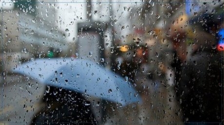 طقس الثلاثاء في قطاع غزة و تونس : مغيم جزئيا إلى صاف بغزة و أمطار رعدية مؤقتا غزيرة بتونس
