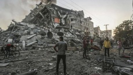 استشهاد 19902 فلسطينيا وجرح 55 ألف آخرين منذ بدء العدوان الصهيوني