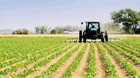 نسبة الاستثمار في القطاع الفلاحي لا تتجاوز 1% من قيمة الاستثمارات الجملية