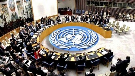 129 شبكة ومنظمة حقوقية تستهجن امعان أمريكا في توفير الغطاء لدولة الاحتلال و إساءة استعمالها لحق الفيتو.
