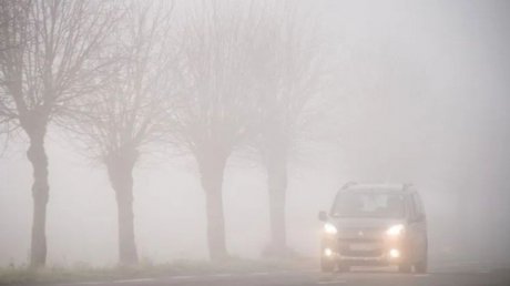طقس اليوم الثلاثاء في غزة و تونس : ضباب محلي في الصباح و ارتفاع طفيف في درجات الحرارة