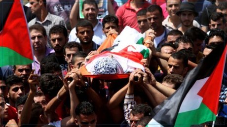حصيلة شهداء غزة تقترب من 22 ألفا