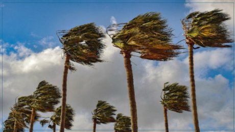 طقس اليوم الأربعاء في قطاع غزة و تونس : مغيم مع هبوب رياح قوية