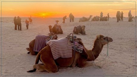 توزر: تطور المؤشرات السياحيّة سنة 2023 مقارنة مع سابقتها
