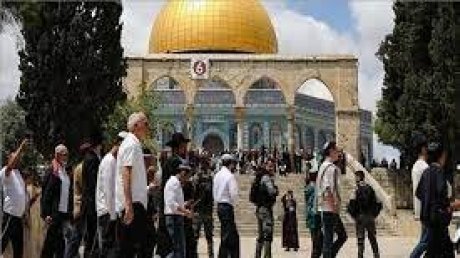 عشرات المستعمرين يقتحمون المسجد الأقصى