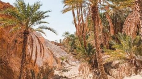 طقس اليوم الثلاثاء : ارتفاع طفيف في درجات الحرارة في قطاع غزة و طقس مغيم بأغلب المناطق في تونس