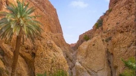 طقس اليوم الجمعة : إنخفاض في درجات الحرارة في قطاع غزة و طقس مغيم جزئيا في تونس