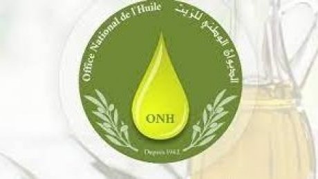 وفق الديوان الوطني للزيت : عائدات تصدير زيت الزيتون تصل الى 2.3 مليار دينار وتحسن في التعليب ب 14.8 بالمائة