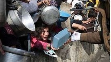 غزة على شفى المجاعة