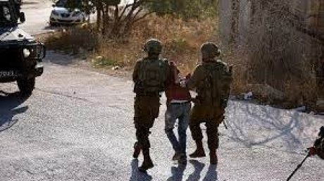الاحتلال يعتقل 16 مواطنا من الضفة بينهم طفل