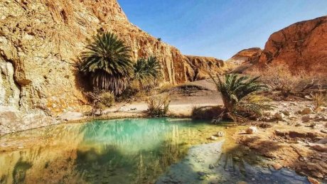 طقس اليوم الجمعة : أجواء صافية في قطاع غزة و سحب كثيفة مع أمطار متفرقة مؤقتا رعدية في تونس