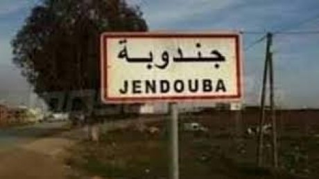 جندوبة: وقفة احتجاجية لاتحاد الفلاحة بسبب تضرر صابة الحبوب