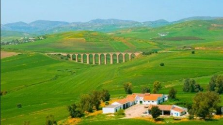 طقس اليوم الخميس : معتدل في قطاع غزة و مغيم جزئيا في تونس