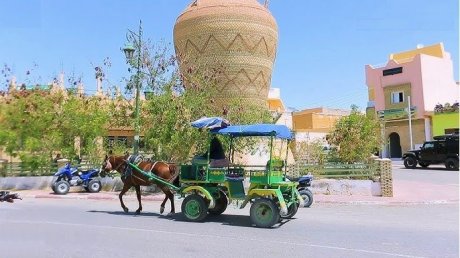 طقس اليوم الأربعاء : أجواء صافية والحرارة في إستقرار في قطاع غزة و طقس كثيف السحب مع أمطار متفرقة مؤقتا رعدية في تونس