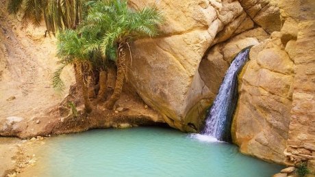 طقس اليوم الأربعاء : غائم جزئيا فصاف بقطاع غزة و مغيم جزئيا مع ظهور خلايا رعدية محلية في تونس