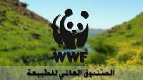 لتمويل "التنوع البيولوجي 2030" : الصندوق العالمي للطبيعة يوقع الاتفاق الاطاري للمشاريع "صديقة البيئة"مع المجلس البنكي