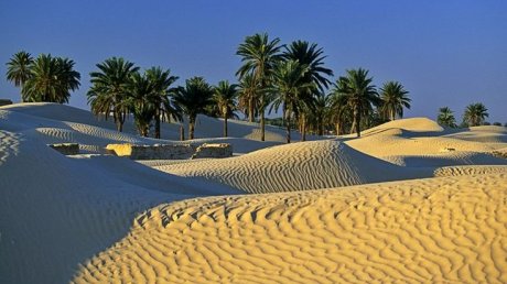 طقس اليوم الجمعة : أجواء حارة في قطاع غزة و سحب قليلة مع ظهور خلايا رعدية مصحوبة بأمطار في تونس