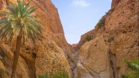 طقس اليوم السبت : انخفاض درجات الحرارة في قطاع غزة و طقس مغيم جزئيا في تونس