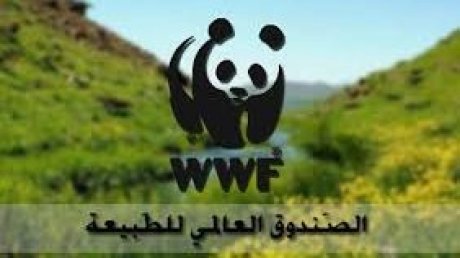 مع تنامي التغيرات المناخية : 30% من المناطق البحرية تحتاج الحماية مع حلول 2030