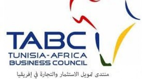 لتمويل الاستثمار والتجارة بافريقيا : امتيازات جبائية لتسهيل نقل السلع