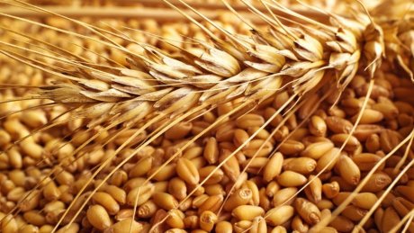 من بينها الماء والبذور والاعلاف : منتدى الحقوق الاقتصادية يدعو الى التصدي لهذه اللوبيات