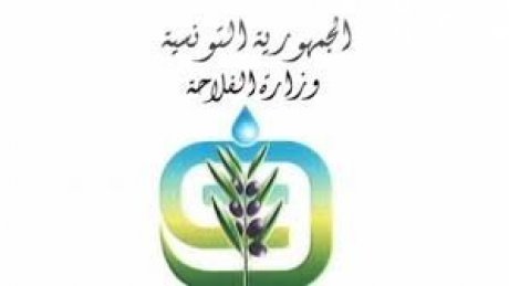 تحسبا للامطار والزوابع : وزارة الفلاحة تدعو الفلاحين الى حماية الحبوب المخزنة